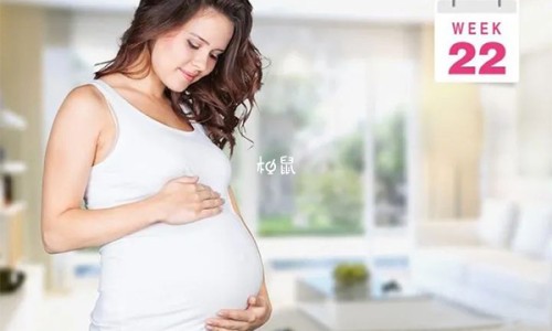 人参三七琥珀散专区_人参三七琥珀末的功效与主治专区_人参三七琥珀的副作用网