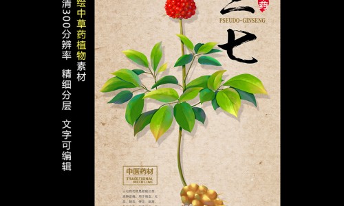 人参三七琥珀散专区_人参三七琥珀末的功效与主治专区_人参三七琥珀的副作用网