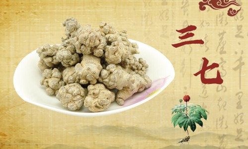 人参三七水蛭琥珀每日用量-人参三七琥珀散专区_人参三七琥珀末的功效与主治专区_人参三七琥珀的副作用网